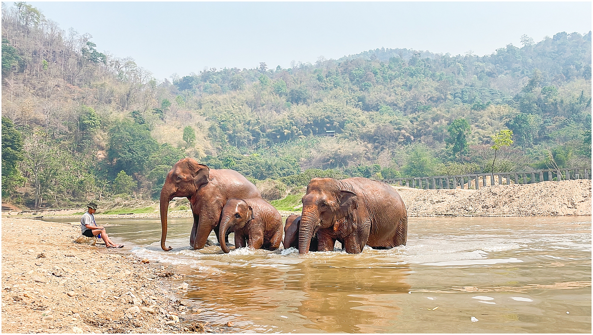 The Elephant Nature Park - Chiang Mai, Thailand. 