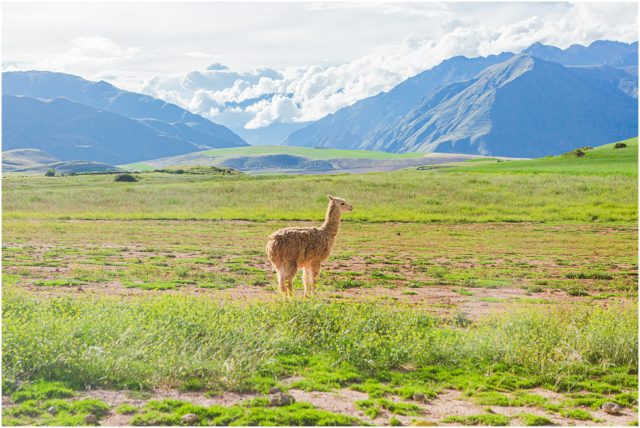 Vacation in Peru Without Visiting Machu Picchu
