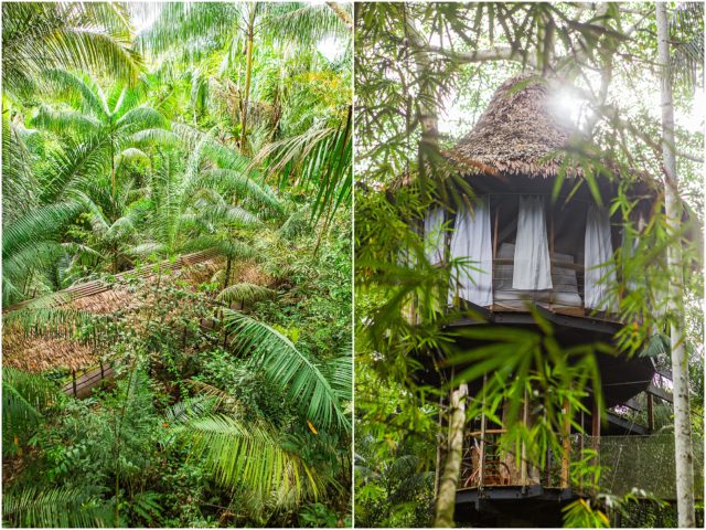 The Treehouse Lodge in Amazon River - Nauta, Iquitos, Peru
