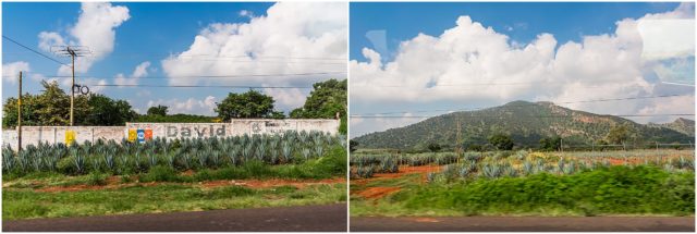 Guadalajara, Mexico 2019. Tequila country. agave fields. City life.