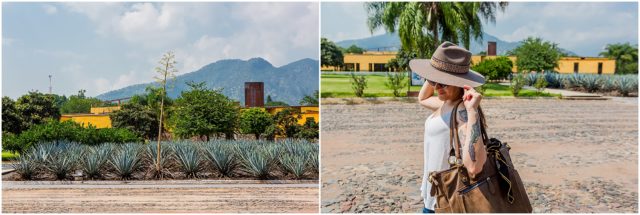 Guadalajara, Mexico 2019. Tequila country. agave fields. City life.