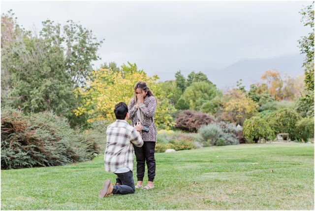 Man proposing to his girlfriend at La Arboretum in Arcadia with mountains in the background. 