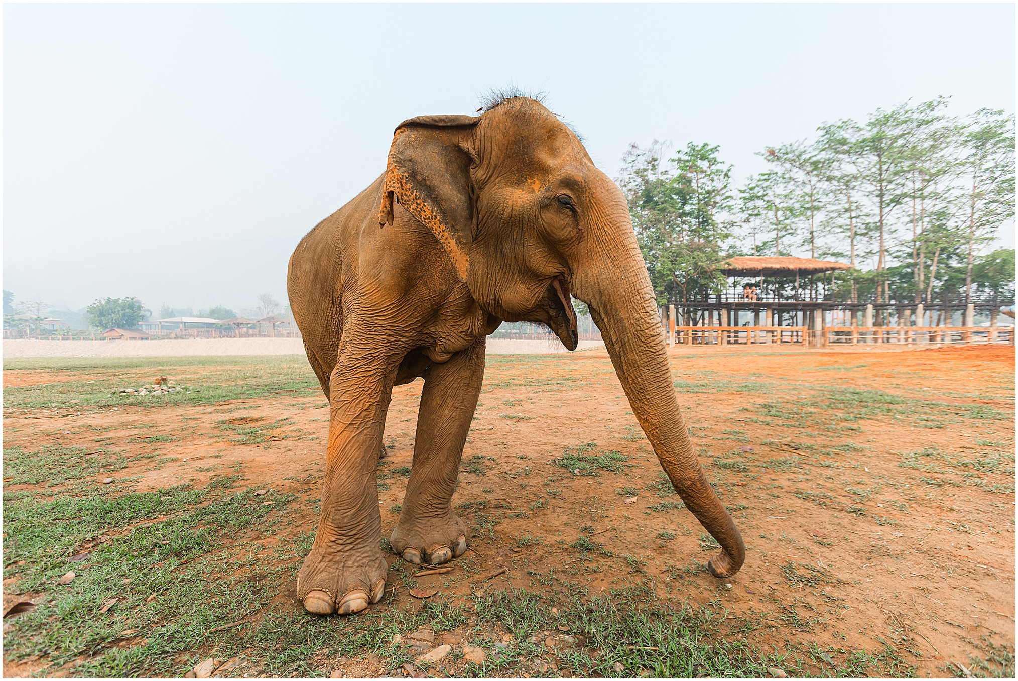 The Elephant Nature Park - Chiang Mai, Thailand. 